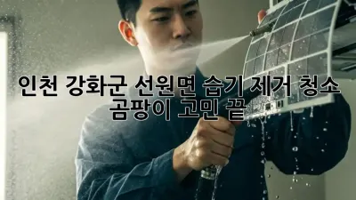 인천 강화군 선원면 습기 제거 청소, 곰팡이 고민 끝!